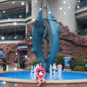 Meet your Posher, Connie